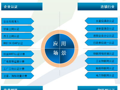 企業(yè)寬帶無(wú)線計(jì)費(fèi)系統(tǒng)的構(gòu)建與優(yōu)化：藍(lán)海卓越的最佳實(shí)踐