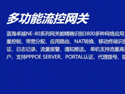 代撥網(wǎng)關(guān)在網(wǎng)絡(luò)架構(gòu)中的核心價值：企業(yè)級應(yīng)用場景全面解讀