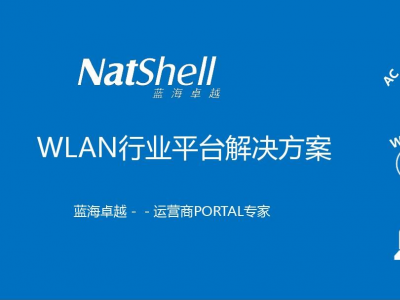 企業(yè)PORTAL認(rèn)證如何有效提升企業(yè)安全性與工作效率？藍(lán)海卓越為您提供最佳解決方案